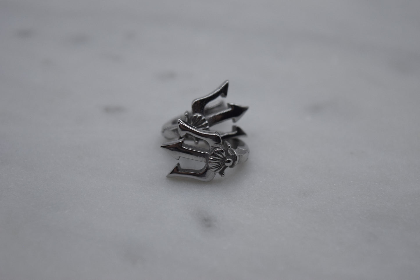 Neptun Silver